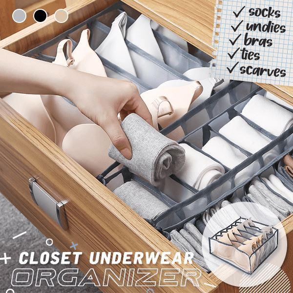 Closet Underwear Organizer